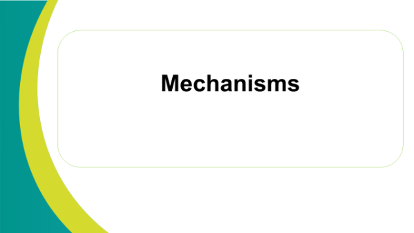 Placeholder link to Connswater Community Greenway Mechanisms Publications